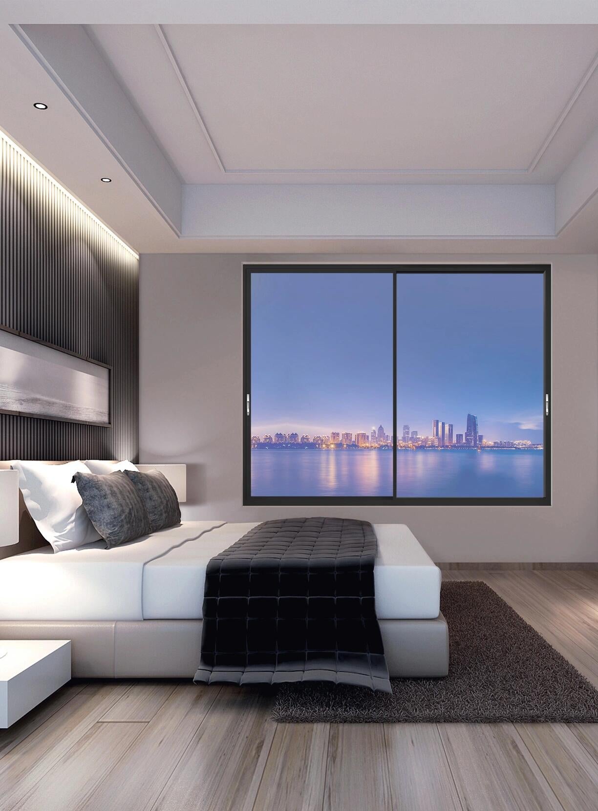Double Panel Sliding Window with Cityscape View